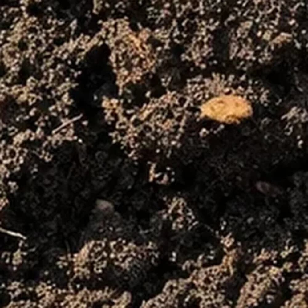 Garden Soil