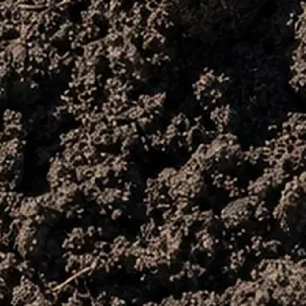 Top Soil